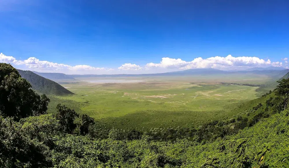 Rolling green plains beneath a mountain