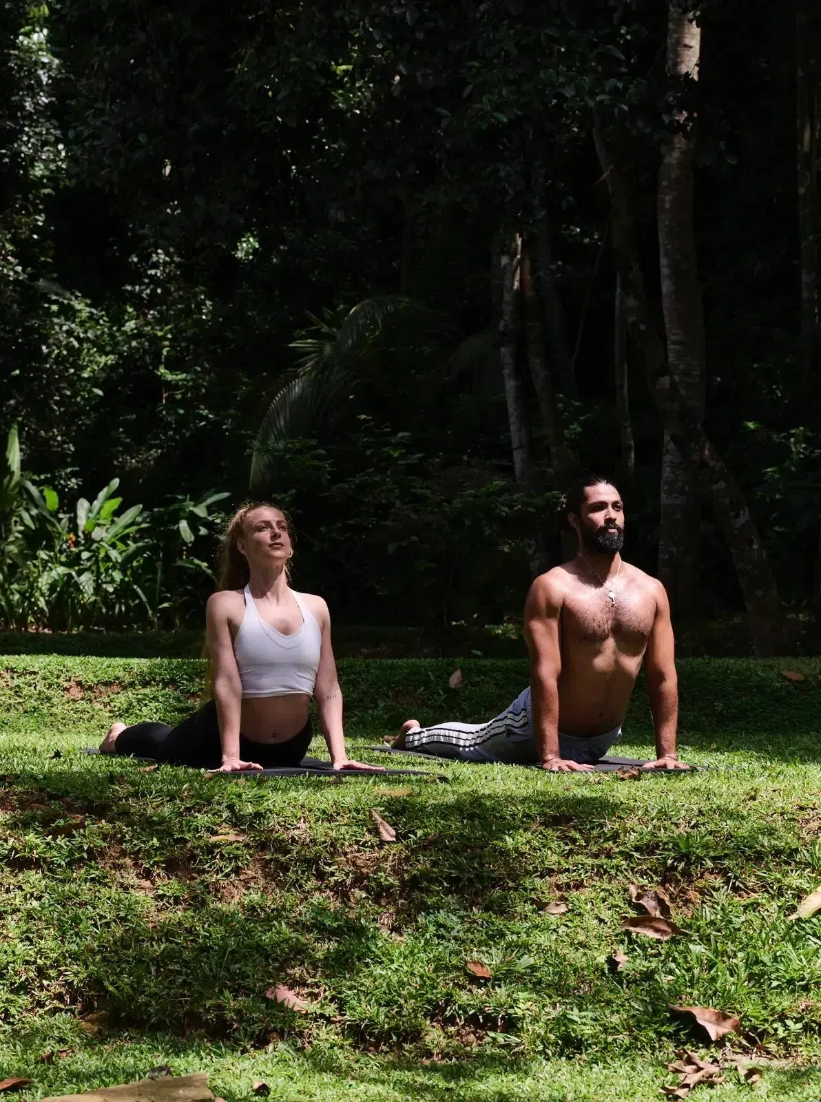 Experience Tea Trails and Wild Elephant Encounters Curated by Kalukanda House — Weligama • Sri Lanka