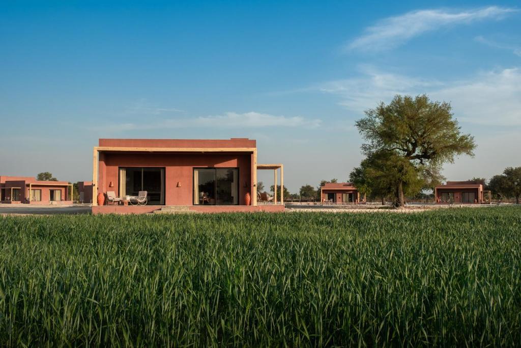 A Pastoral Stillness