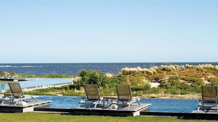 Explore the Art and Wild Landscapes of Bahia Vik  