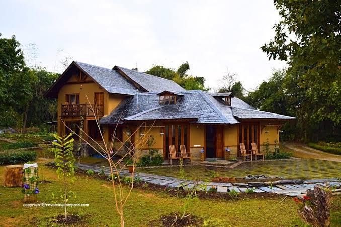 Taste 20+ Kangra Tea Flavours at The Lodge at Wah