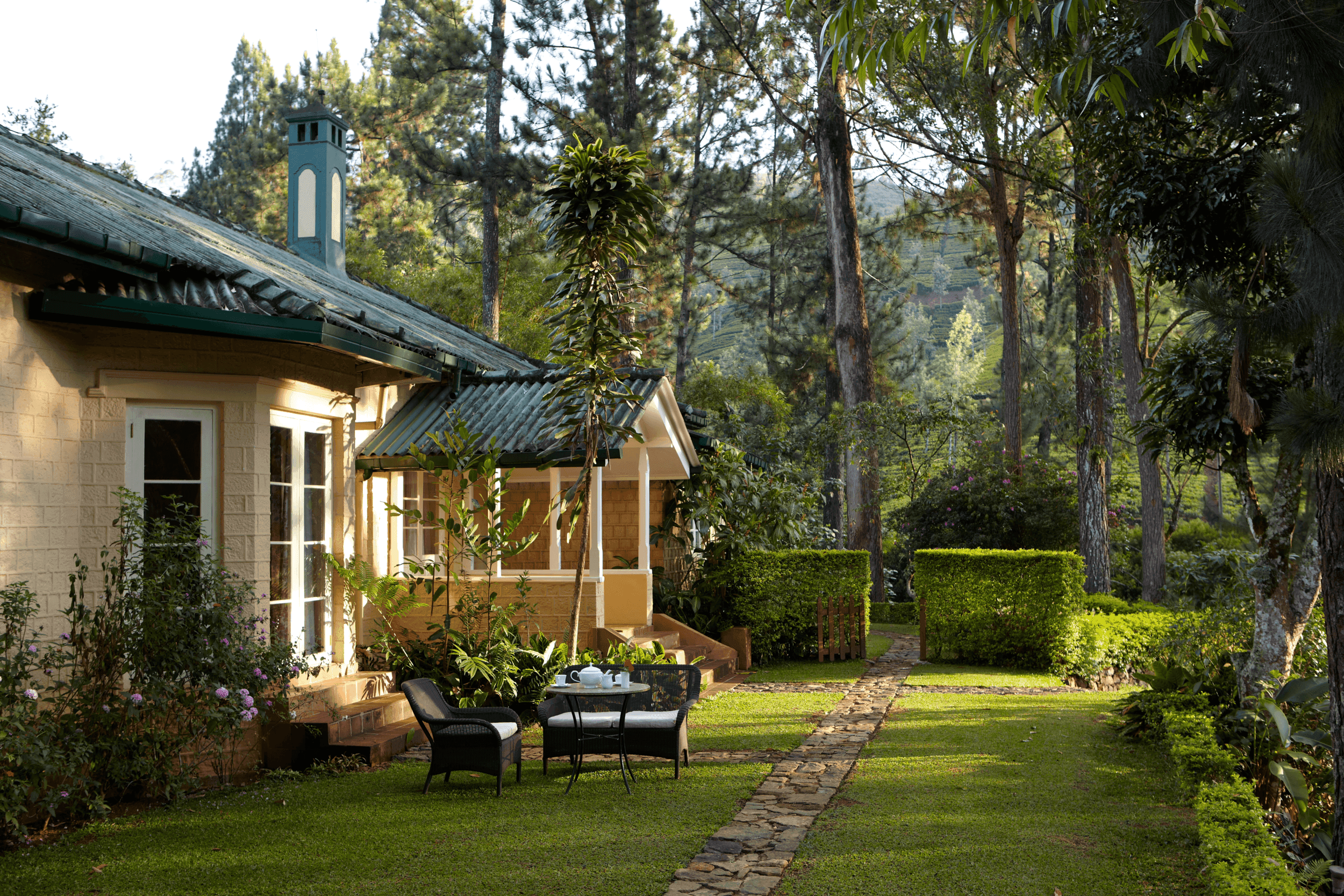 Ceylon Tea Trails gallery image 1