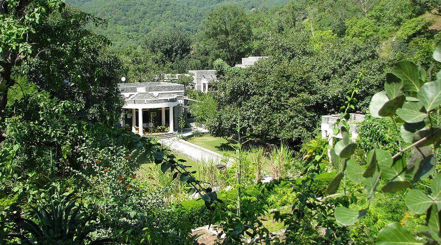 Discover Rathore Traditions and Wilderness at The Mountbatten Lodge