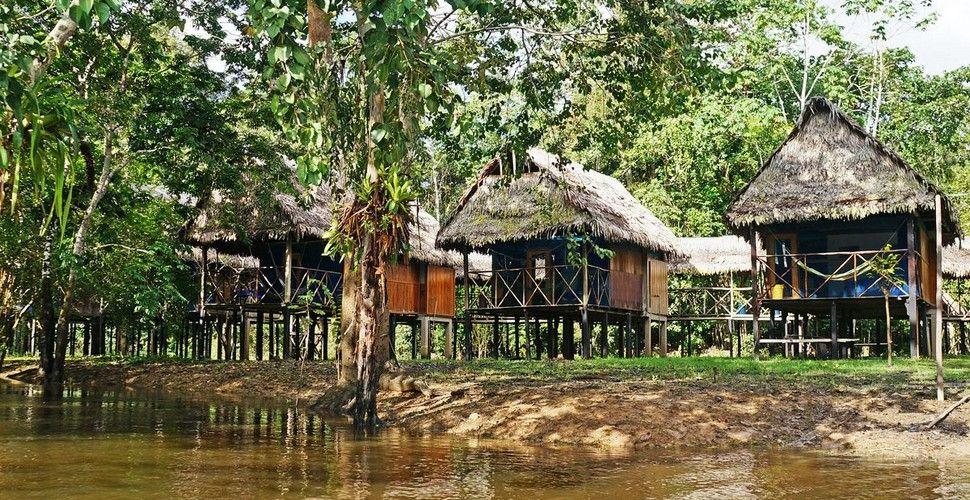 Explore the Living Amazon Rainforest with Muyuna Lodge